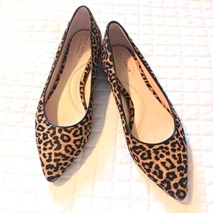Cole Haan Leopard Print Pointed Toe Flats